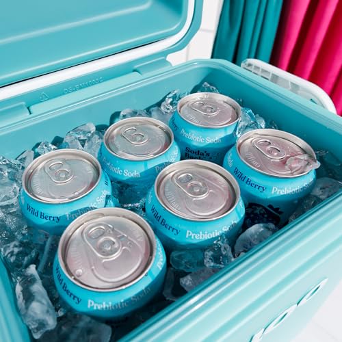 Igloo Tag Along Too Cooler Remix | Lagoon Teal