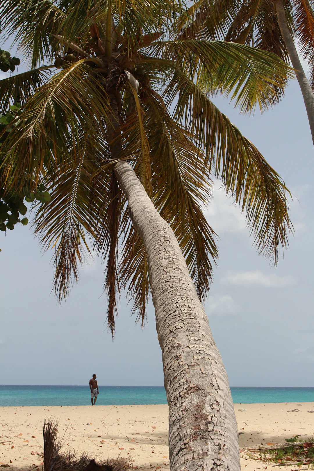 The Amazing Mental Health Benefits of Beach Recreation