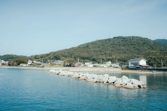 The Rich Tapestry of Coastal Community Life