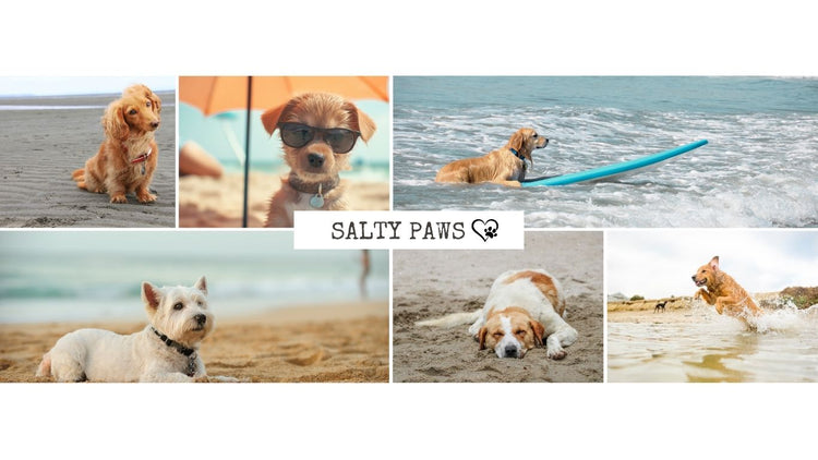 Salty Paws