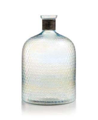 Home Essentials Coastal Iridescent Luster Vase