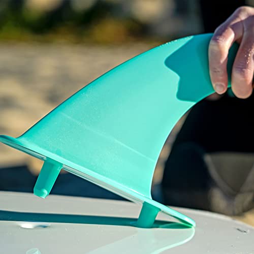 WAVESTORM 8ft Premium Classic Longboard Surfboard,BLT,8 Feet x 22.5 Inch x 3.25 Inch