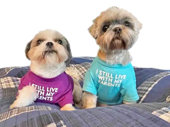 Cute Dog Clothes,Dog T Shirt for Medium Dogs.Dog Clothes for Small Dogs Girl Boy,Puppy.Breathable Soft Dog Costume Pet Dogs Cats,Pet Pullover Jumper,Cat Clothes (XL-(16~20lb), Chest~20", Aqua)