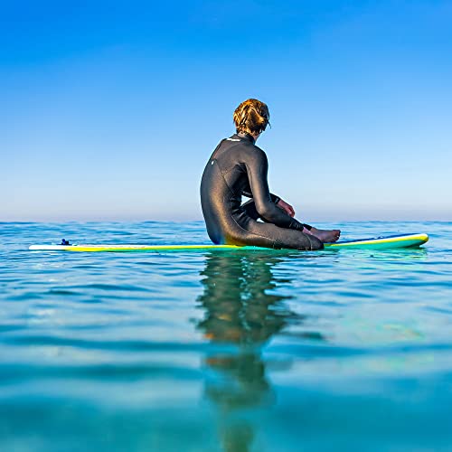 WAVESTORM 8ft Premium Classic Longboard Surfboard,BLT,8 Feet x 22.5 Inch x 3.25 Inch