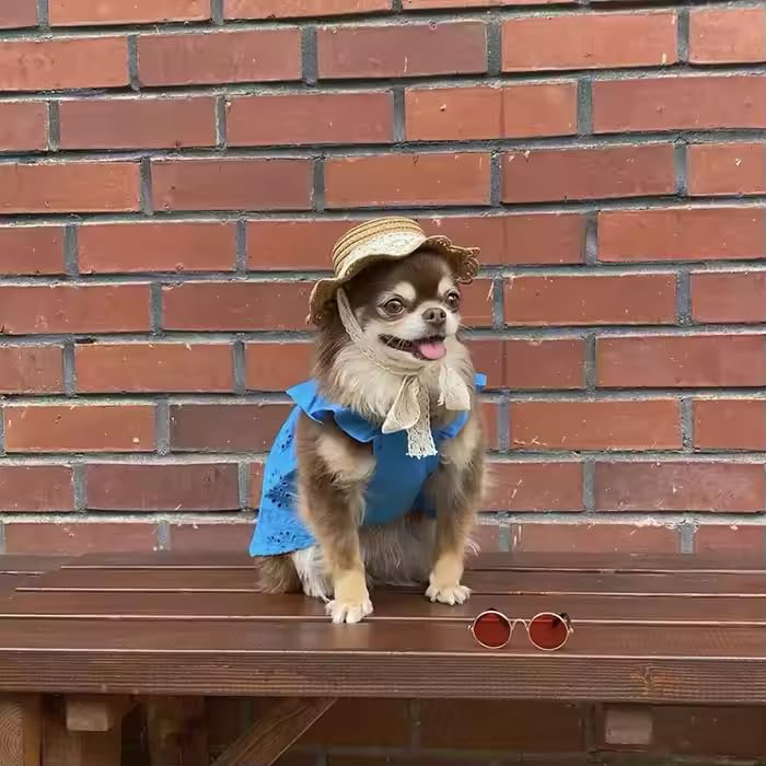 Pet Straw Sun Hat - Lace - Trimmed Summer Beach Hat with Bow, Adjustable Sun Protection Cap for Small Dogs & Cats (Size M, Khaki)