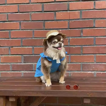 Pet Straw Sun Hat - Lace - Trimmed Summer Beach Hat with Bow, Adjustable Sun Protection Cap for Small Dogs & Cats (Size M, Khaki)