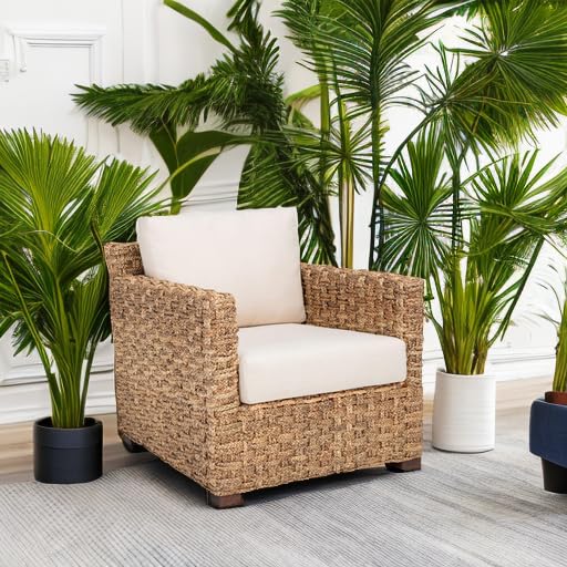 SAFAVIEH Couture Home Collection Gregory Natural/Beige Cushion Water Hyacinth Accent Chair (Fully Assembled)