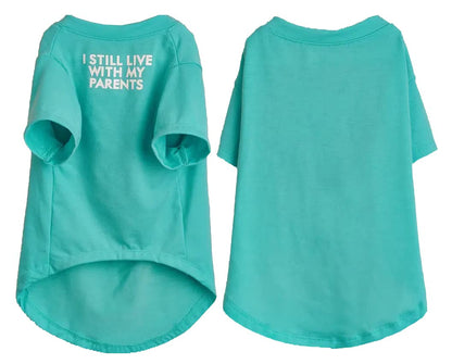 Cute Dog Clothes,Dog T Shirt for Medium Dogs.Dog Clothes for Small Dogs Girl Boy,Puppy.Breathable Soft Dog Costume Pet Dogs Cats,Pet Pullover Jumper,Cat Clothes (XL-(16~20lb), Chest~20", Aqua)