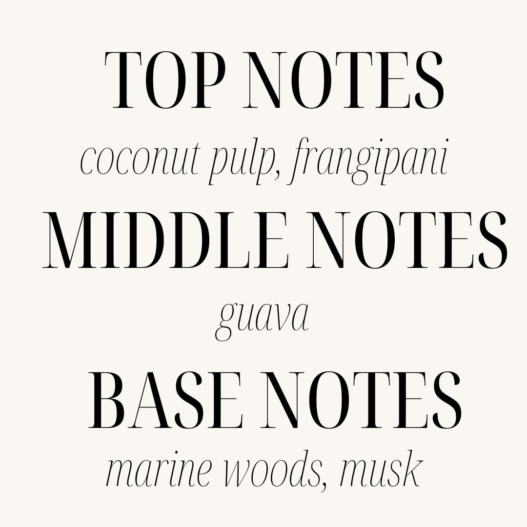 Sand + Fog Scented Candle- California Beach House -Additional Scents and Sizes–100% Cotton Lead-Free Wick-Luxury Air Freshening Jar Candles-Perfect Home Décor for Cocktail Table– 23oz