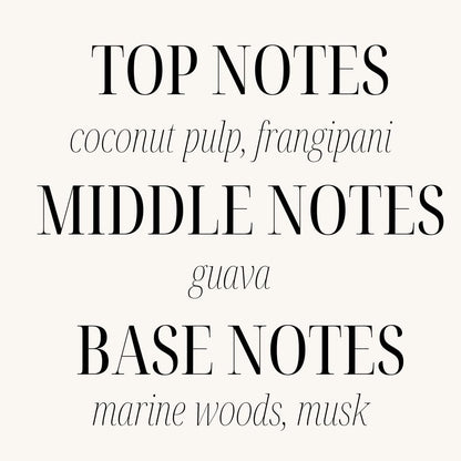 Sand + Fog Scented Candle- California Beach House -Additional Scents and Sizes–100% Cotton Lead-Free Wick-Luxury Air Freshening Jar Candles-Perfect Home Décor for Cocktail Table– 23oz