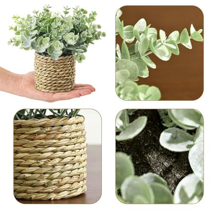 Small Fake Potted Plants: 7 Inches Artificial Plants with Seagrass Handwoven Planters, Indoor Farmhouse Decorations, Eucalyptus Plant for Home Bathroom Office Shelf Tabletop Desk Room Decor or Gift