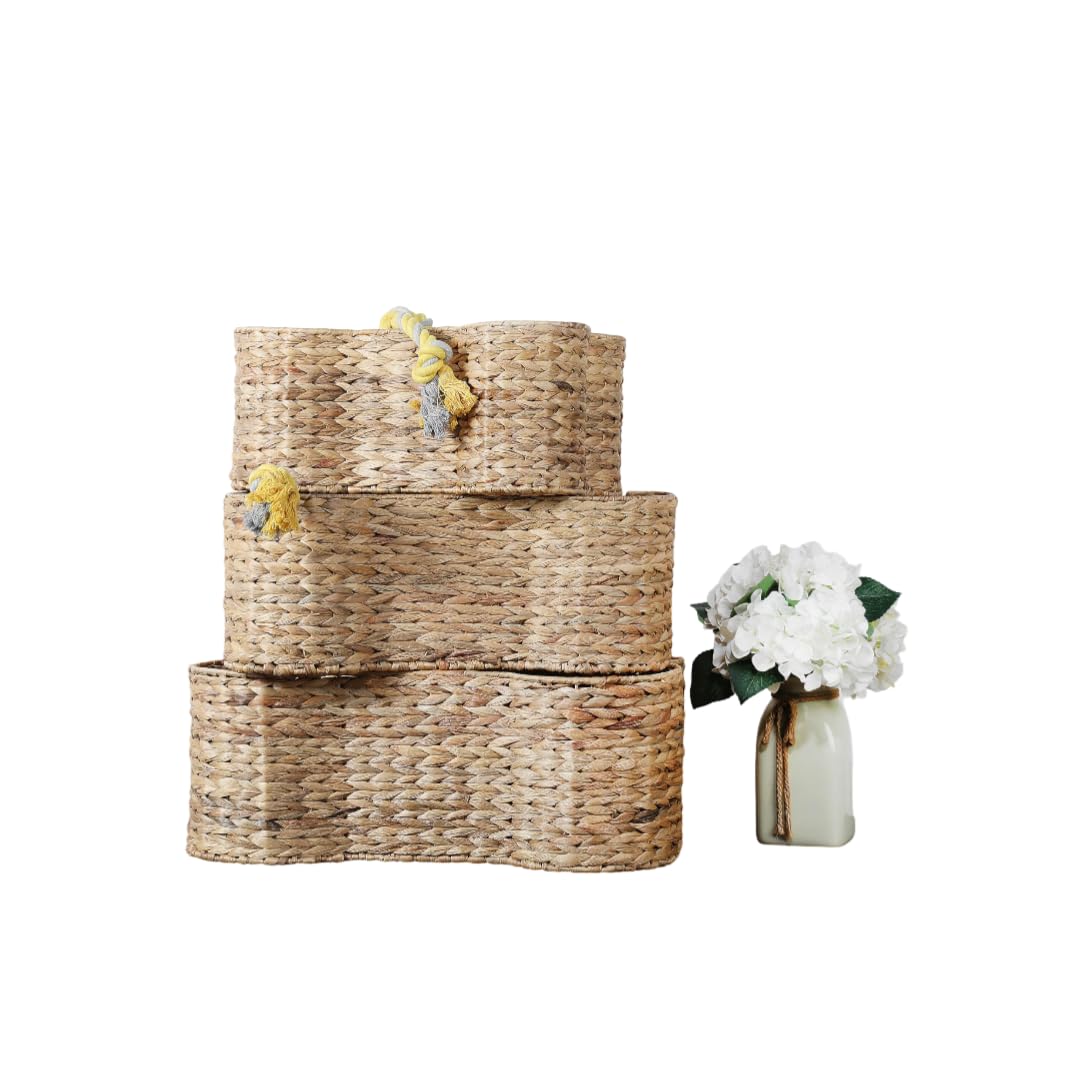 Park Life Designs Loxley Toy Storage, Small, 17.75-inch Length, Toy Basket for Pets