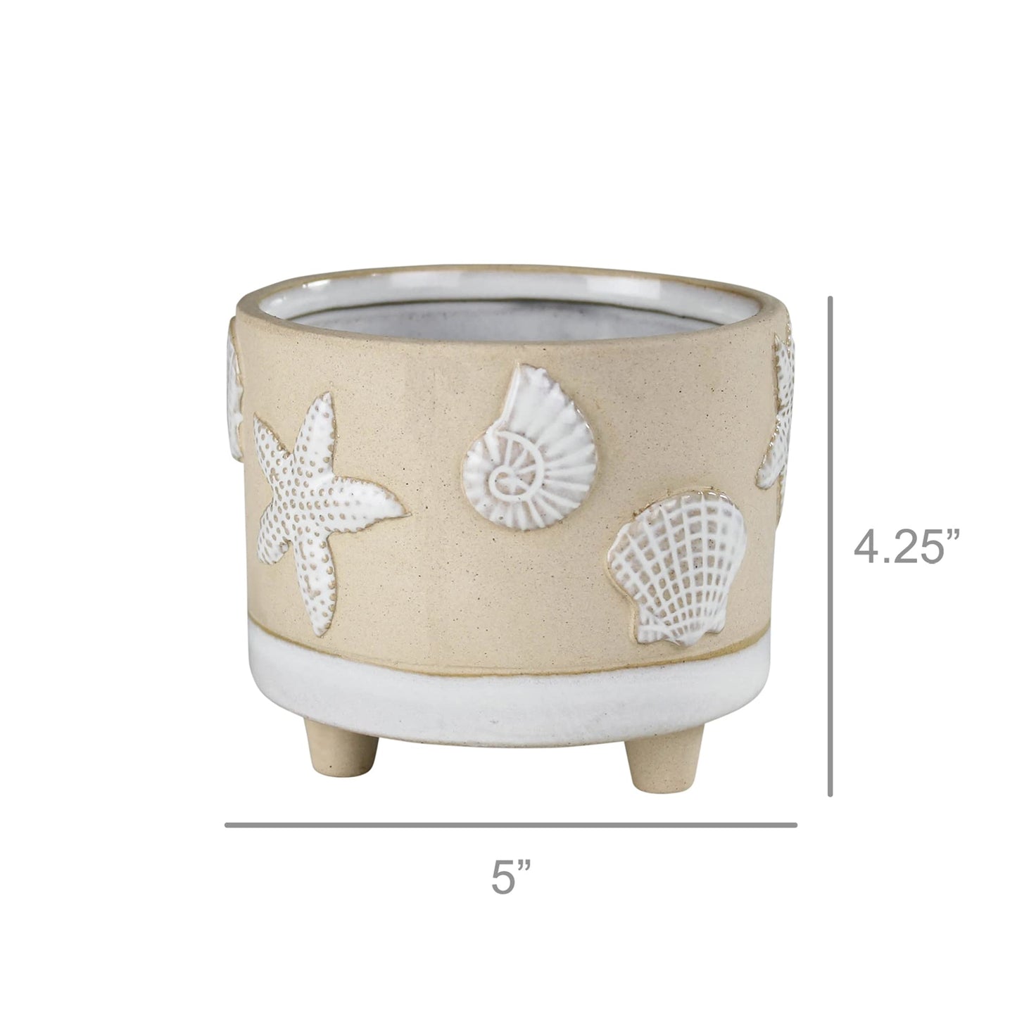 HomArt Seashell Cachepot, 5-inch Diameter, Ceramic