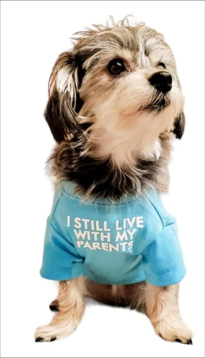 Cute Dog Clothes,Dog T Shirt for Medium Dogs.Dog Clothes for Small Dogs Girl Boy,Puppy.Breathable Soft Dog Costume Pet Dogs Cats,Pet Pullover Jumper,Cat Clothes (XL-(16~20lb), Chest~20", Aqua)