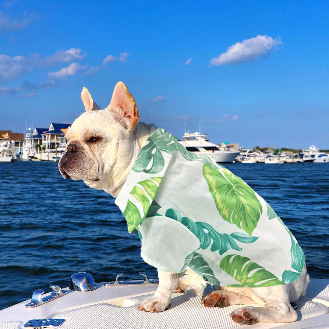 LKEX Dog Shirt Hawaiian Puppy Clothes, Leaf Printed Lapel Vest Summer Polo T-Shirt Pet Apparel Dog Clothes for Small Medium Boy Girl Dogs Cats, Cool Doggy Kitten Outfits Costumes M