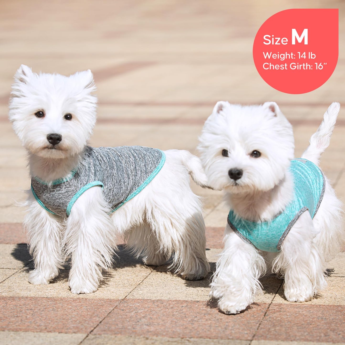 KYEESE 2 Pack Sun Protection Dog Shirts Quick Dry Soft Stretchy Dog T-Shirts with Reflective Label Tank Top Sleeveless Vest Pet Clothes for Small Pet, Large, Grey+Blue