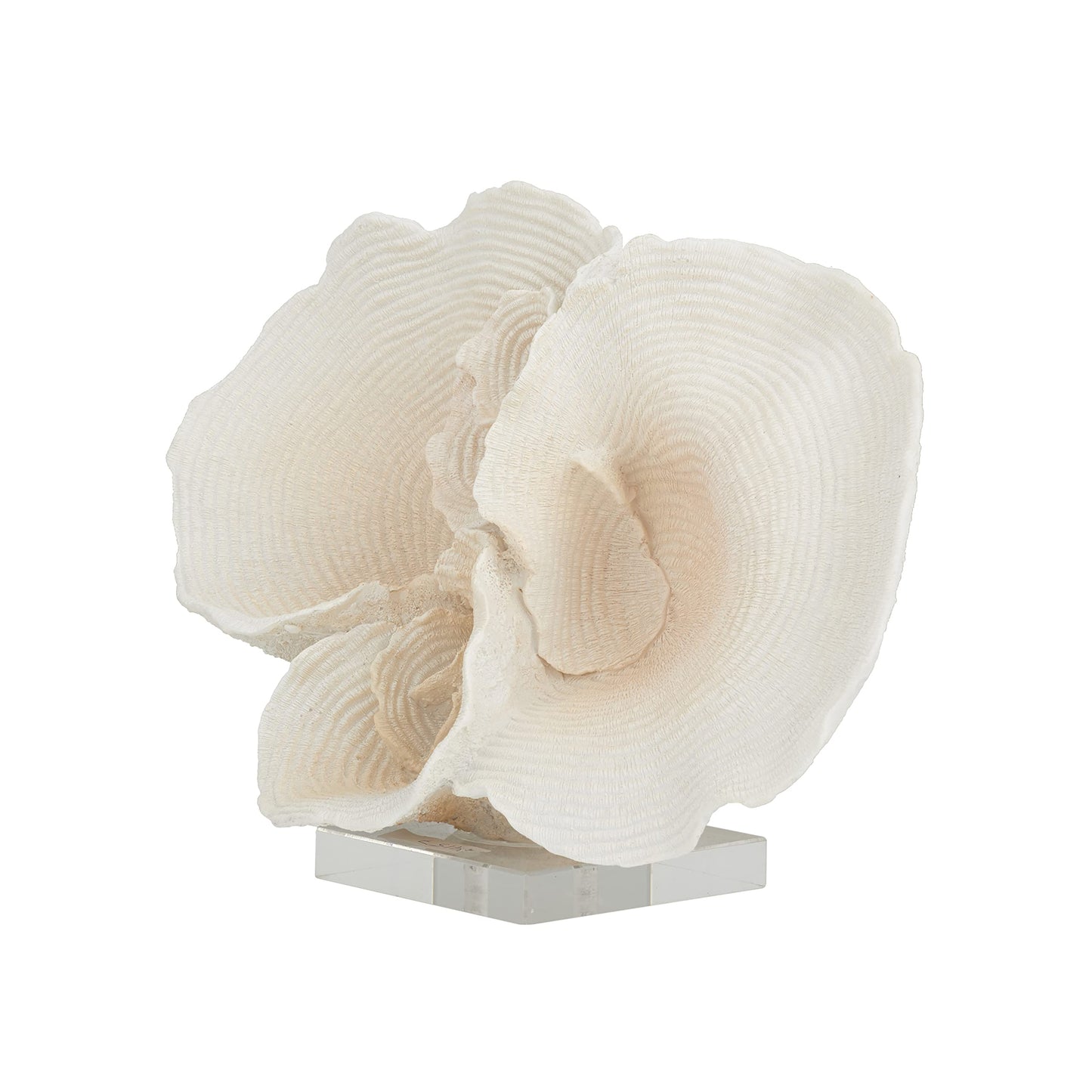 Deco 79 Polystone Coral Decorative Sculpture Home Decor Statue, Accent Figurine 13" x 6" x 9", White
