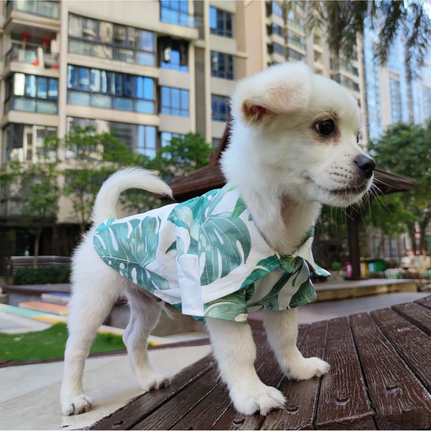 LKEX Dog Shirt Hawaiian Puppy Clothes, Leaf Printed Lapel Vest Summer Polo T-Shirt Pet Apparel Dog Clothes for Small Medium Boy Girl Dogs Cats, Cool Doggy Kitten Outfits Costumes M