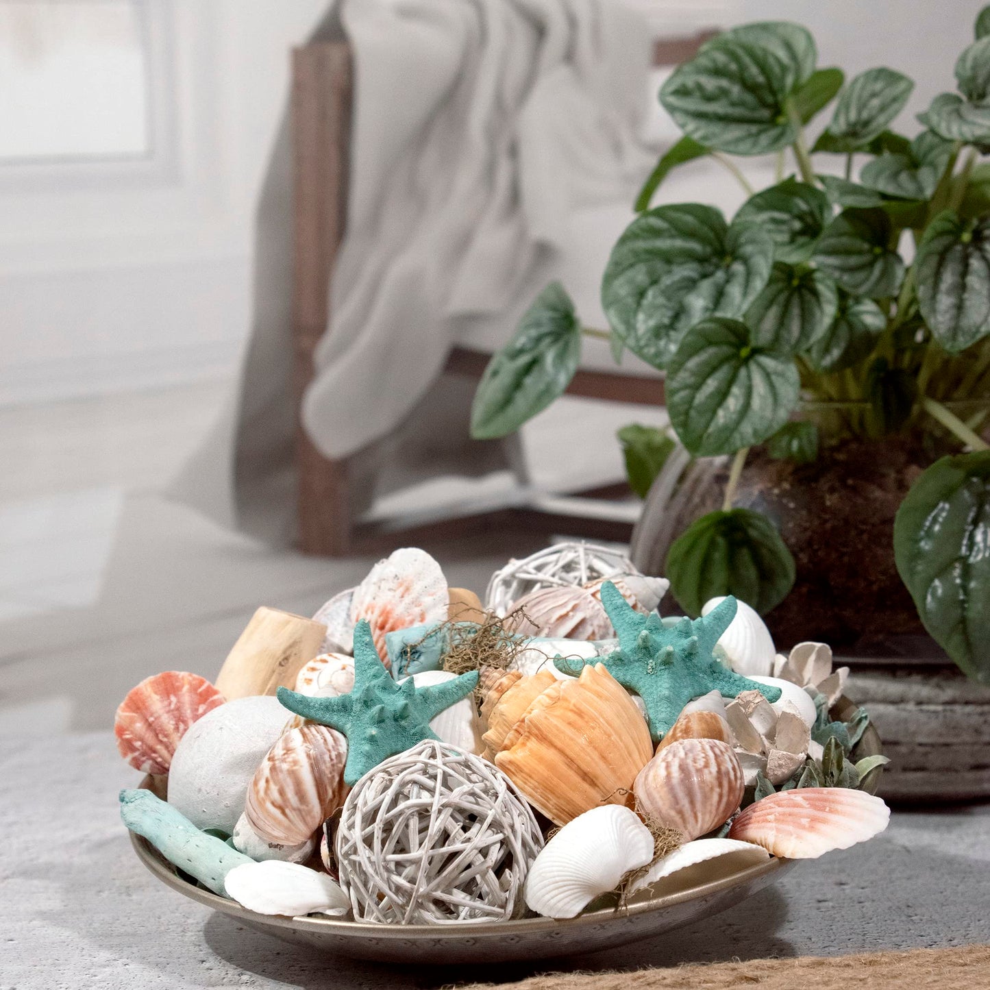 ANDALUCA Ocean Plumes Scented Seashell Potpourri Made in California Large 20 oz Bag Fragrance Vial Scents of Orange, Lime, Bergamot, Lily, Rose and Tonka Coastal Home Decor