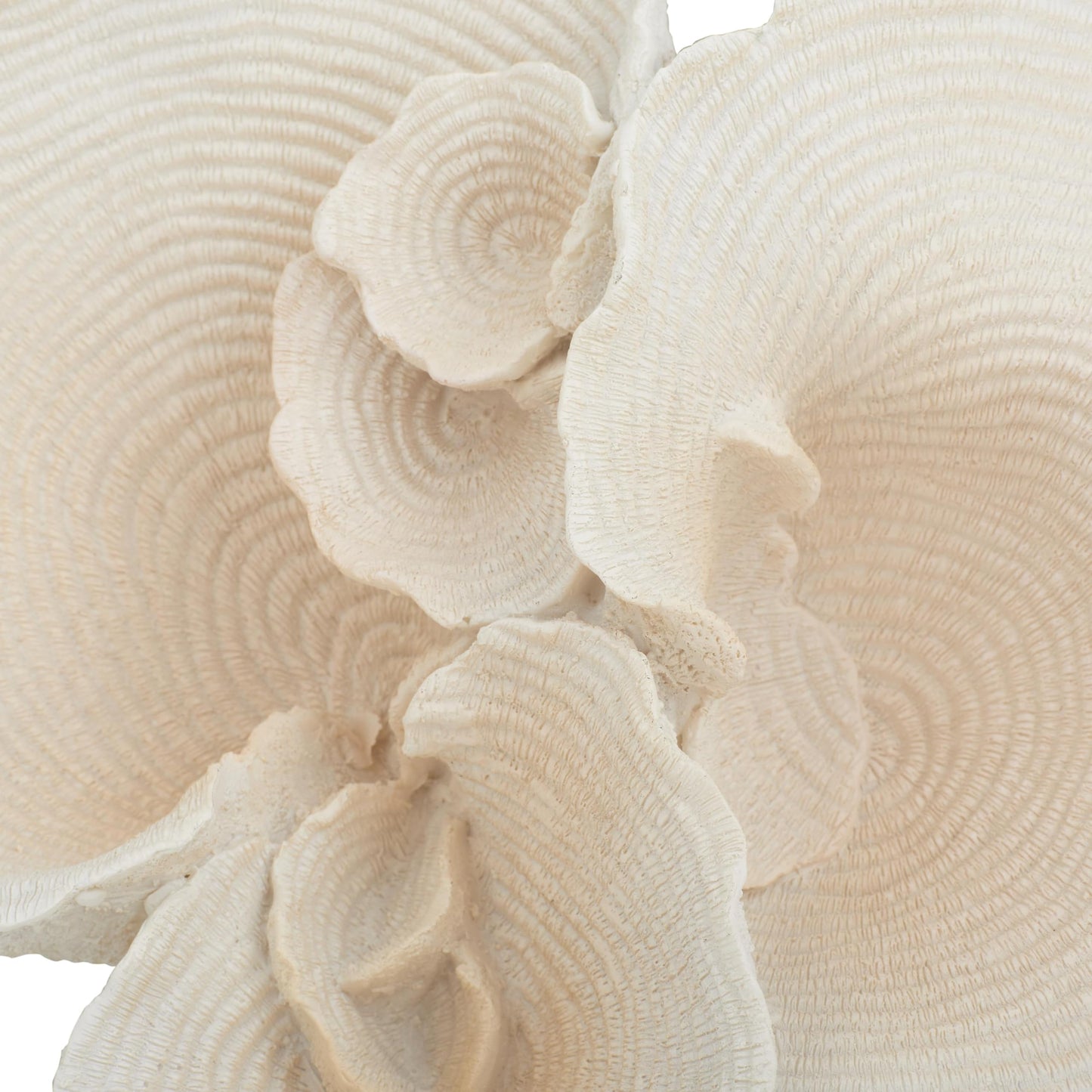 Deco 79 Polystone Coral Decorative Sculpture Home Decor Statue, Accent Figurine 13" x 6" x 9", White
