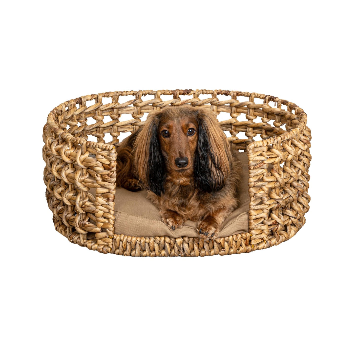 The LICKER Store DBD4000A Gigi 24" x 18" Modern Bohemian Handwoven Hyacinth Open-Weave Oval Pet Bed with Machine-Washable Cushion, Natural