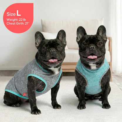 KYEESE 2 Pack Sun Protection Dog Shirts Quick Dry Soft Stretchy Dog T-Shirts with Reflective Label Tank Top Sleeveless Vest Pet Clothes for Small Pet, Large, Grey+Blue