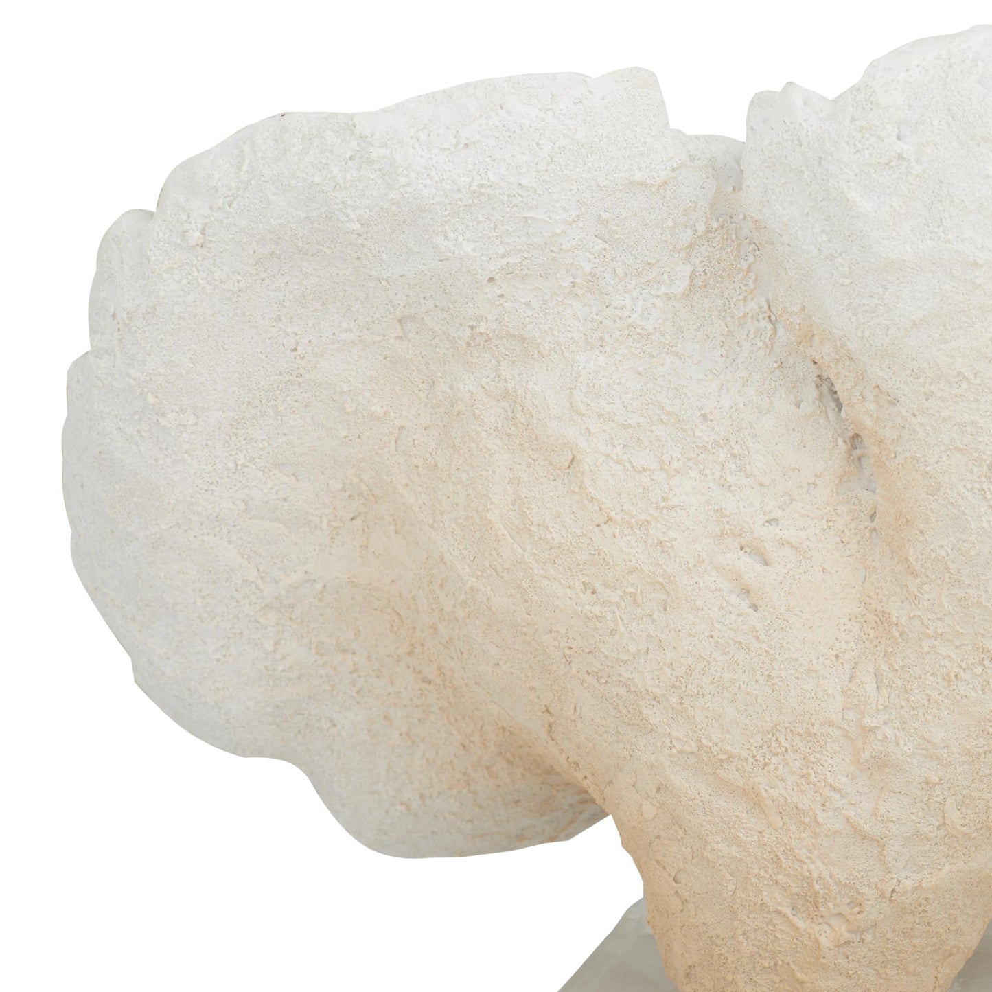 Deco 79 Polystone Coral Decorative Sculpture Home Decor Statue, Accent Figurine 13" x 6" x 9", White