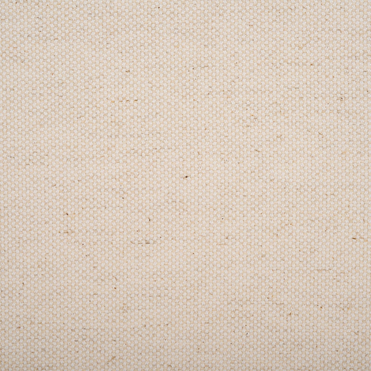 SAFAVIEH Home Collection Darin 24-inch Natural White Wash/White Cushion Counter Stool (Fully Assembled)