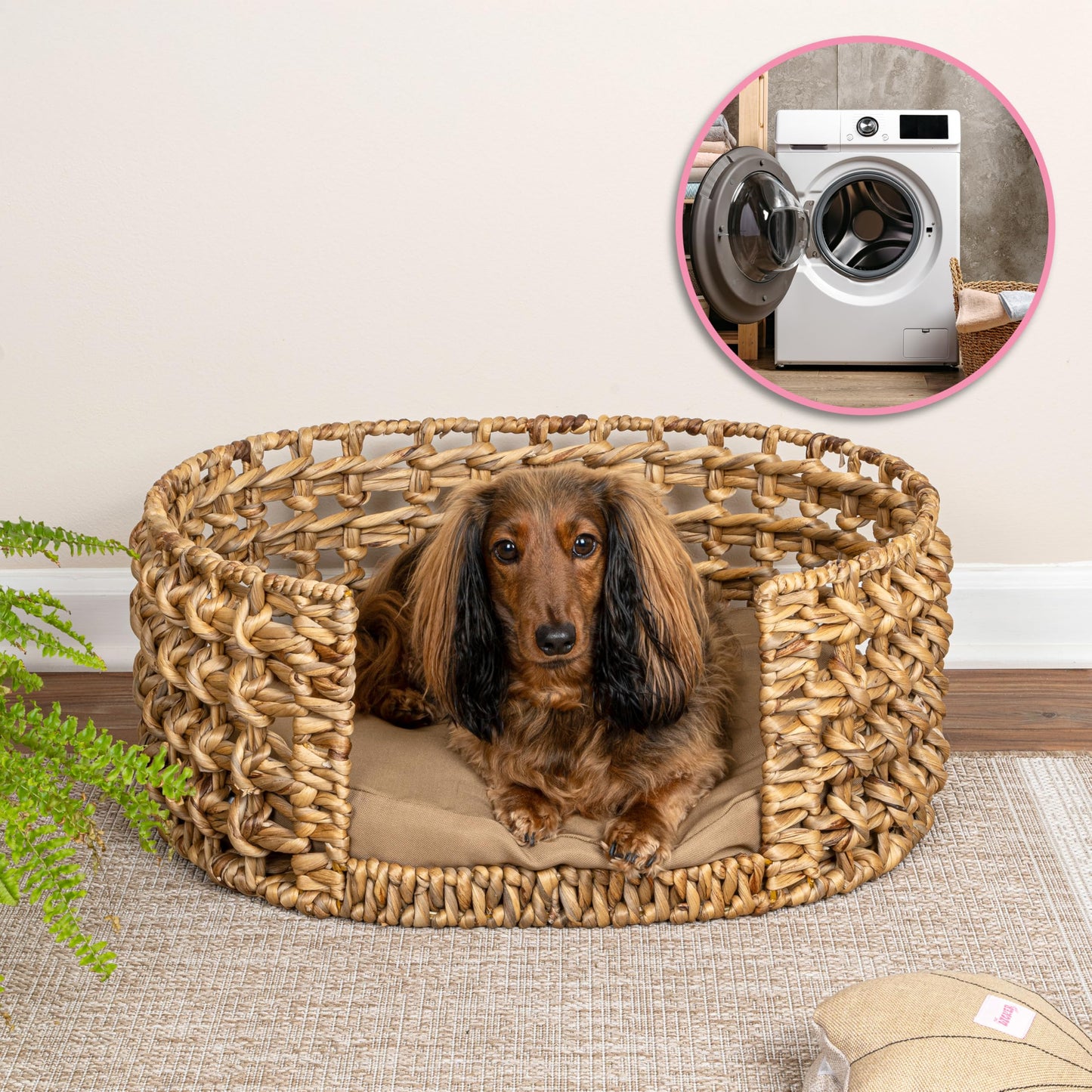 The LICKER Store DBD4000A Gigi 24" x 18" Modern Bohemian Handwoven Hyacinth Open-Weave Oval Pet Bed with Machine-Washable Cushion, Natural